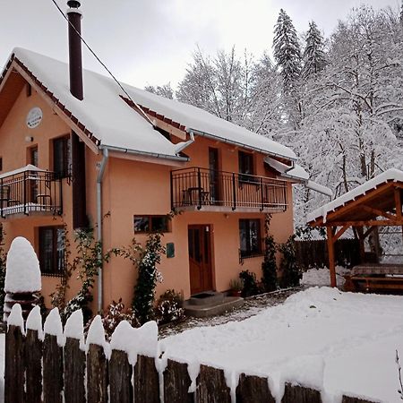 Vila Casa Iulia & Matei Cîrţişoara Exteriér fotografie