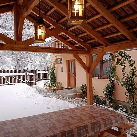 Vila Casa Iulia & Matei Cîrţişoara Exteriér fotografie