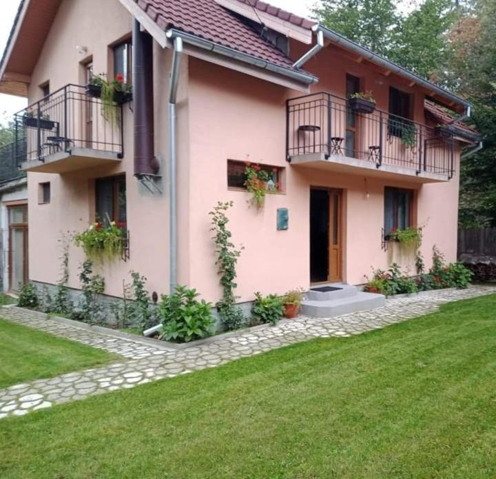 Vila Casa Iulia & Matei Cîrţişoara Exteriér fotografie