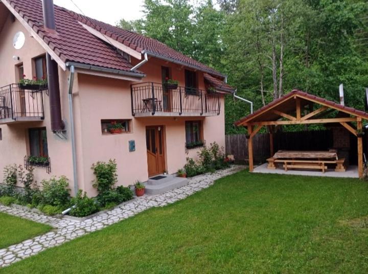 Vila Casa Iulia & Matei Cîrţişoara Exteriér fotografie