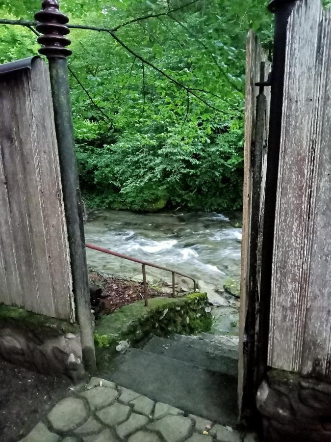 Vila Casa Iulia & Matei Cîrţişoara Exteriér fotografie