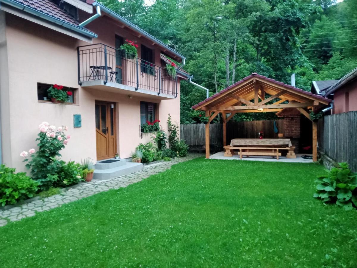 Vila Casa Iulia & Matei Cîrţişoara Exteriér fotografie