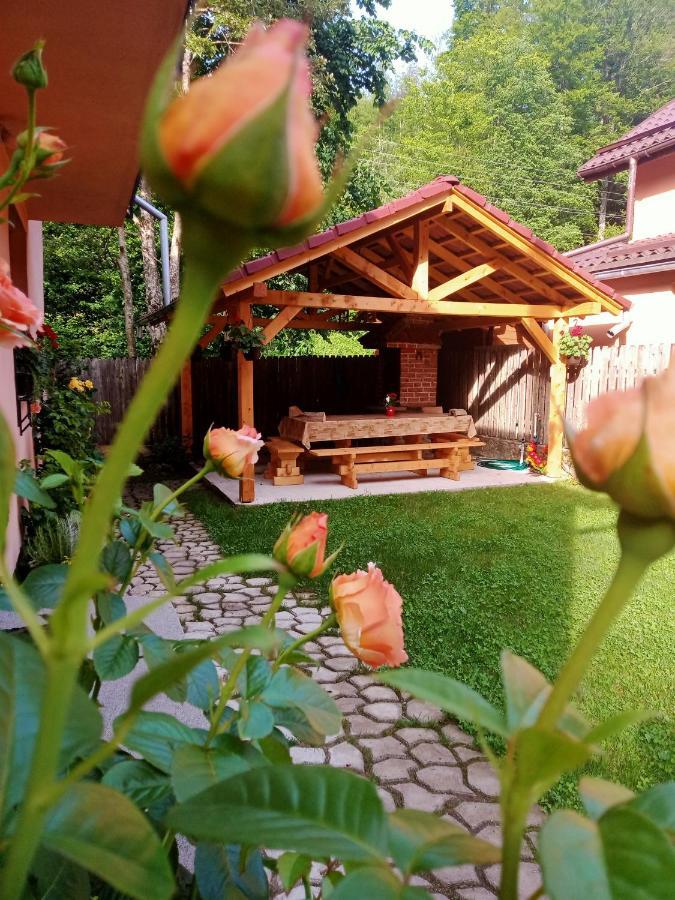 Vila Casa Iulia & Matei Cîrţişoara Exteriér fotografie