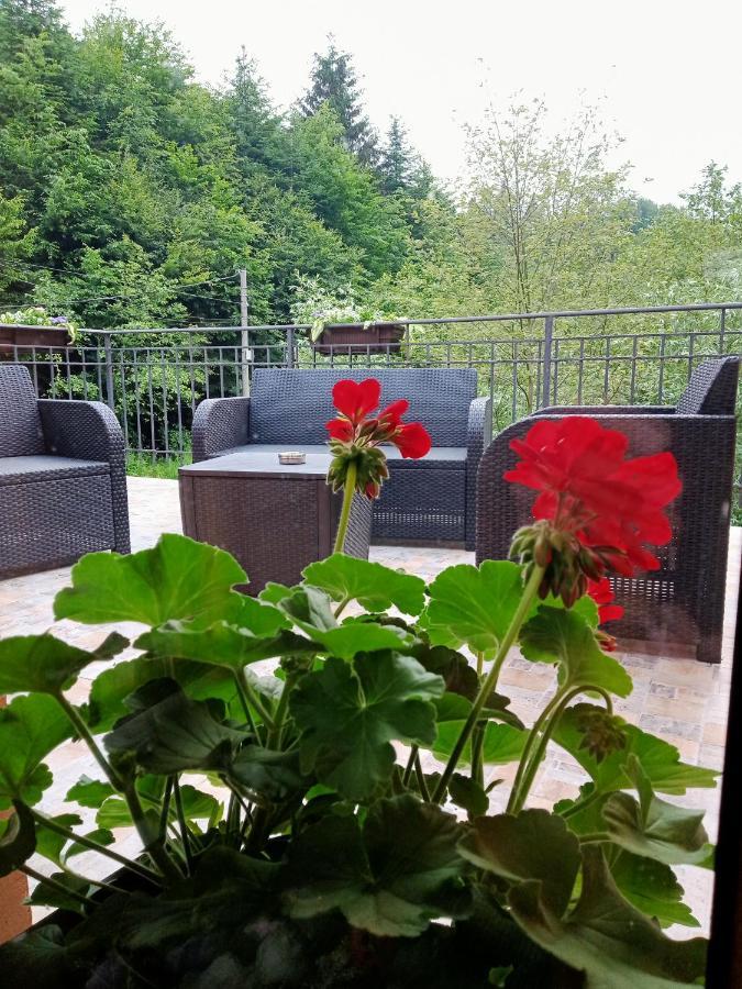 Vila Casa Iulia & Matei Cîrţişoara Exteriér fotografie