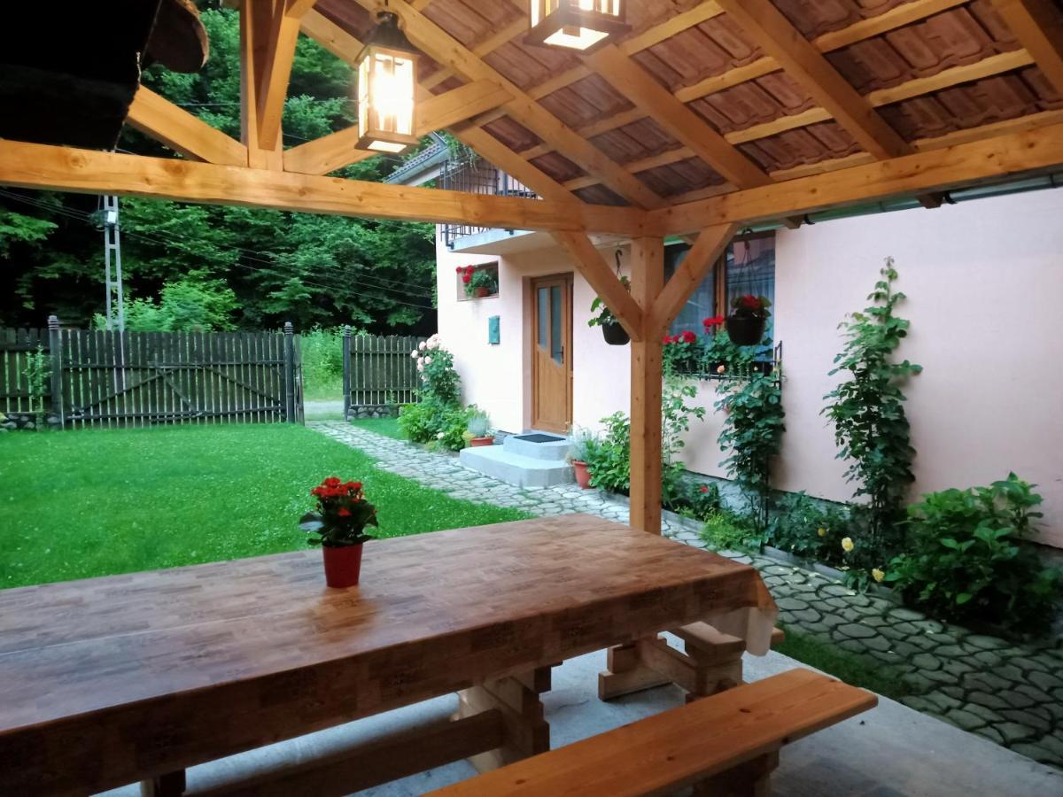 Vila Casa Iulia & Matei Cîrţişoara Exteriér fotografie