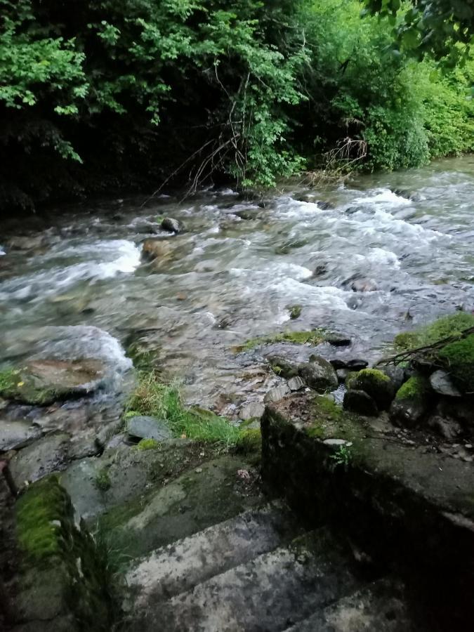 Vila Casa Iulia & Matei Cîrţişoara Exteriér fotografie