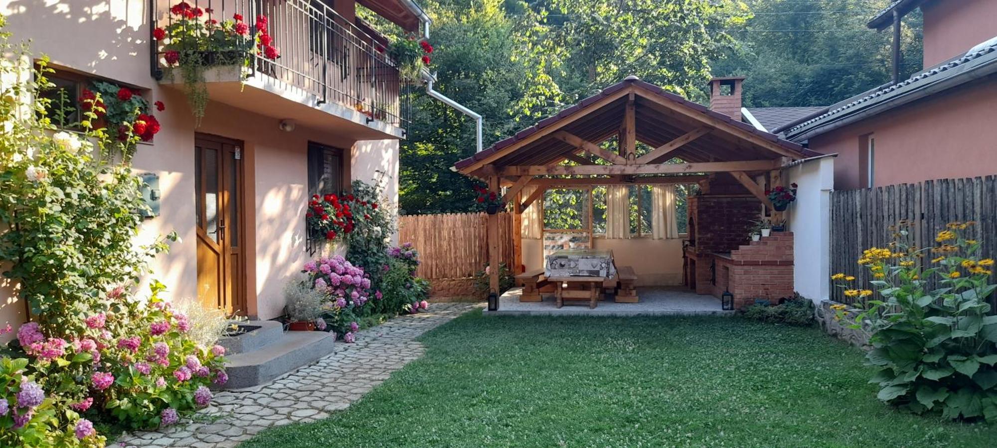 Vila Casa Iulia & Matei Cîrţişoara Exteriér fotografie